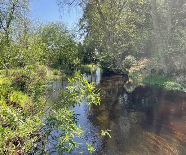 Flussufer eines Campingplatz Thüringen