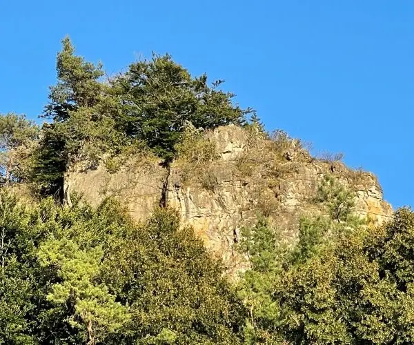 Sliderbild-für-einen-Campingplatz-an-der-Eifel-Verkaufsangebot-der-Firma-CampConsult-aus-Berlin
