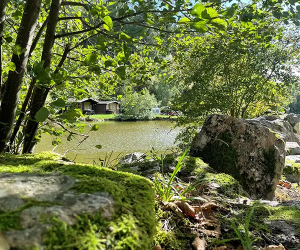 Sliderbild für ein Angebot eines Campingplatzes in der Bockenauer Schweiz von CampConsult, Berlin