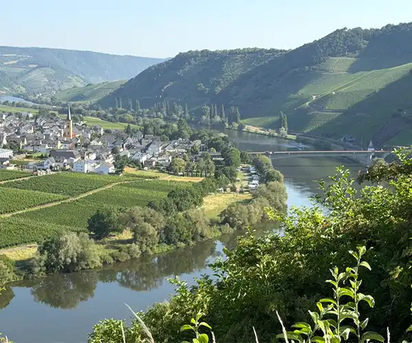 Flusslandschaft mit Stadt auf der linken Seite und Bergen - Campingplatz in Rheinland-Pfalz, Angeobt von CampConsult