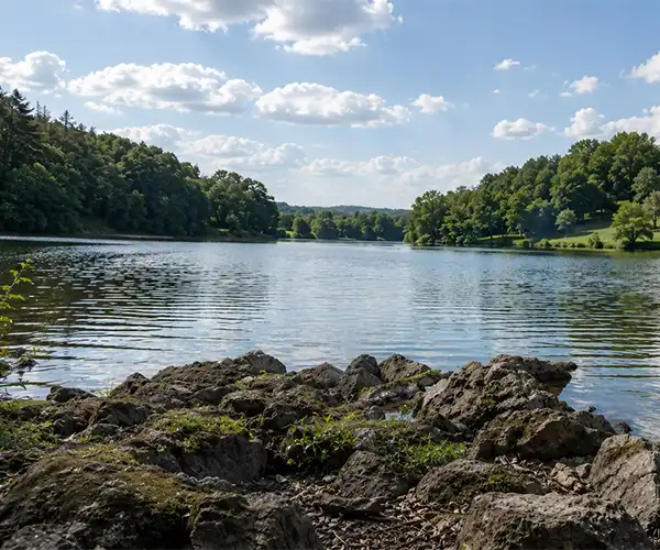 See mit bewaldeten Hügeln und Steinen. Campingplatz in Rheinland-Pfalz.